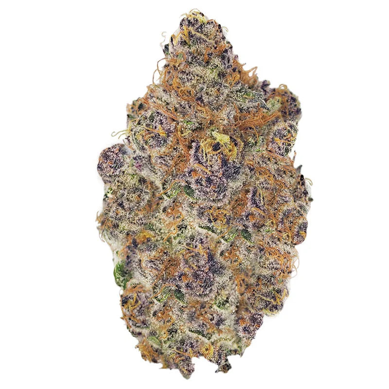 Blackberry (H) AAAA+