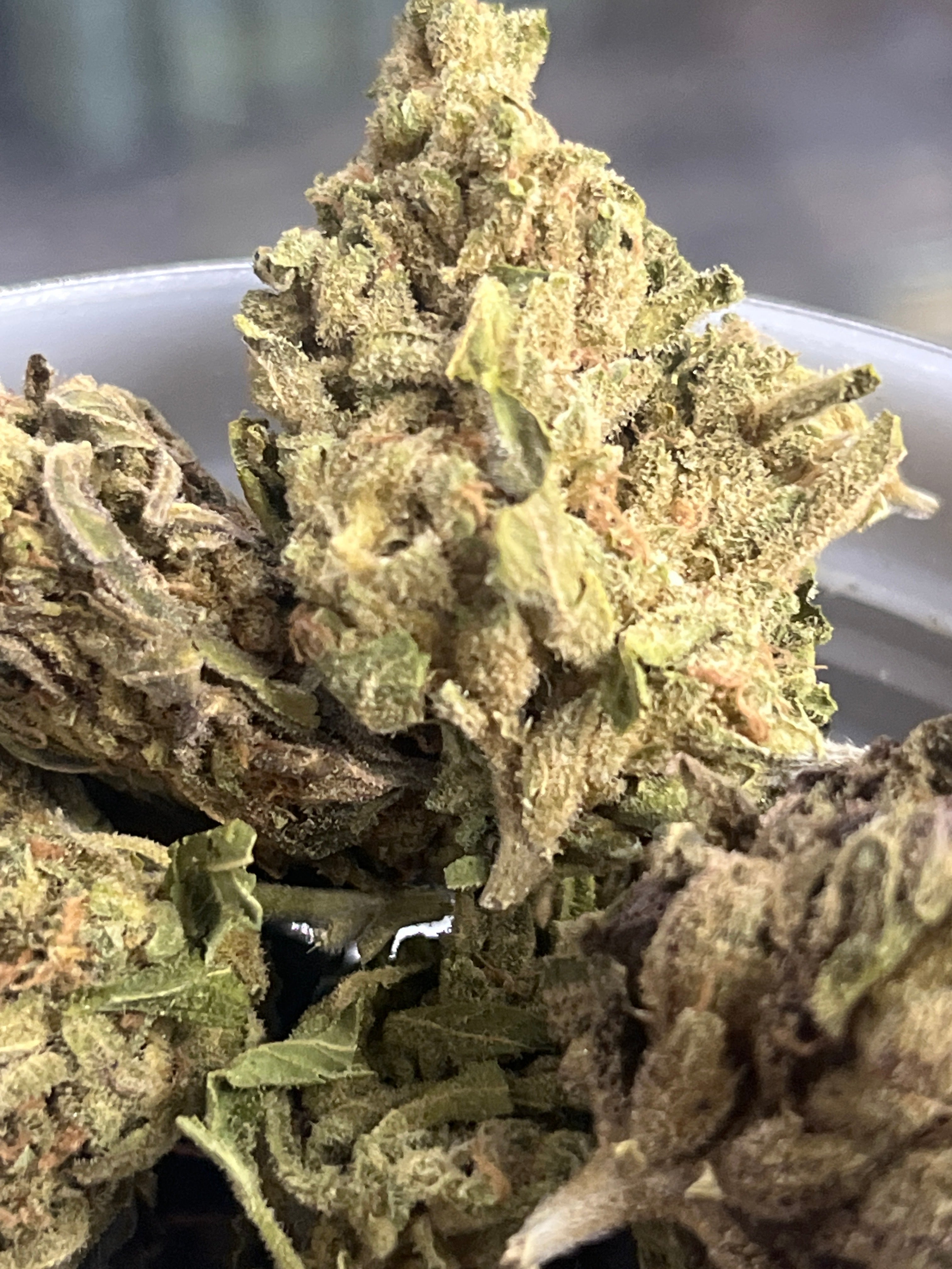 Blue Dream (S)