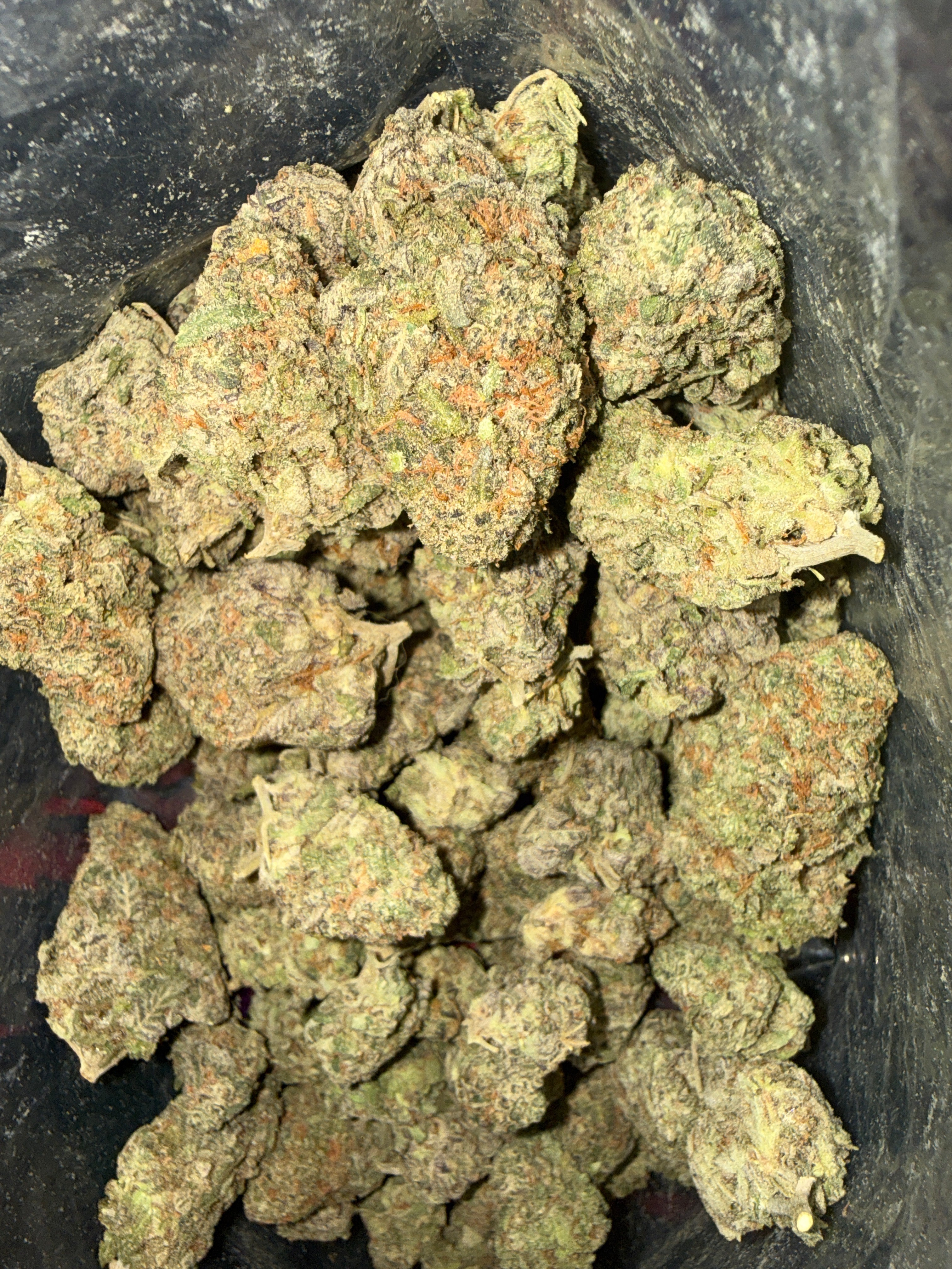 Obama Kush AAAA (I)