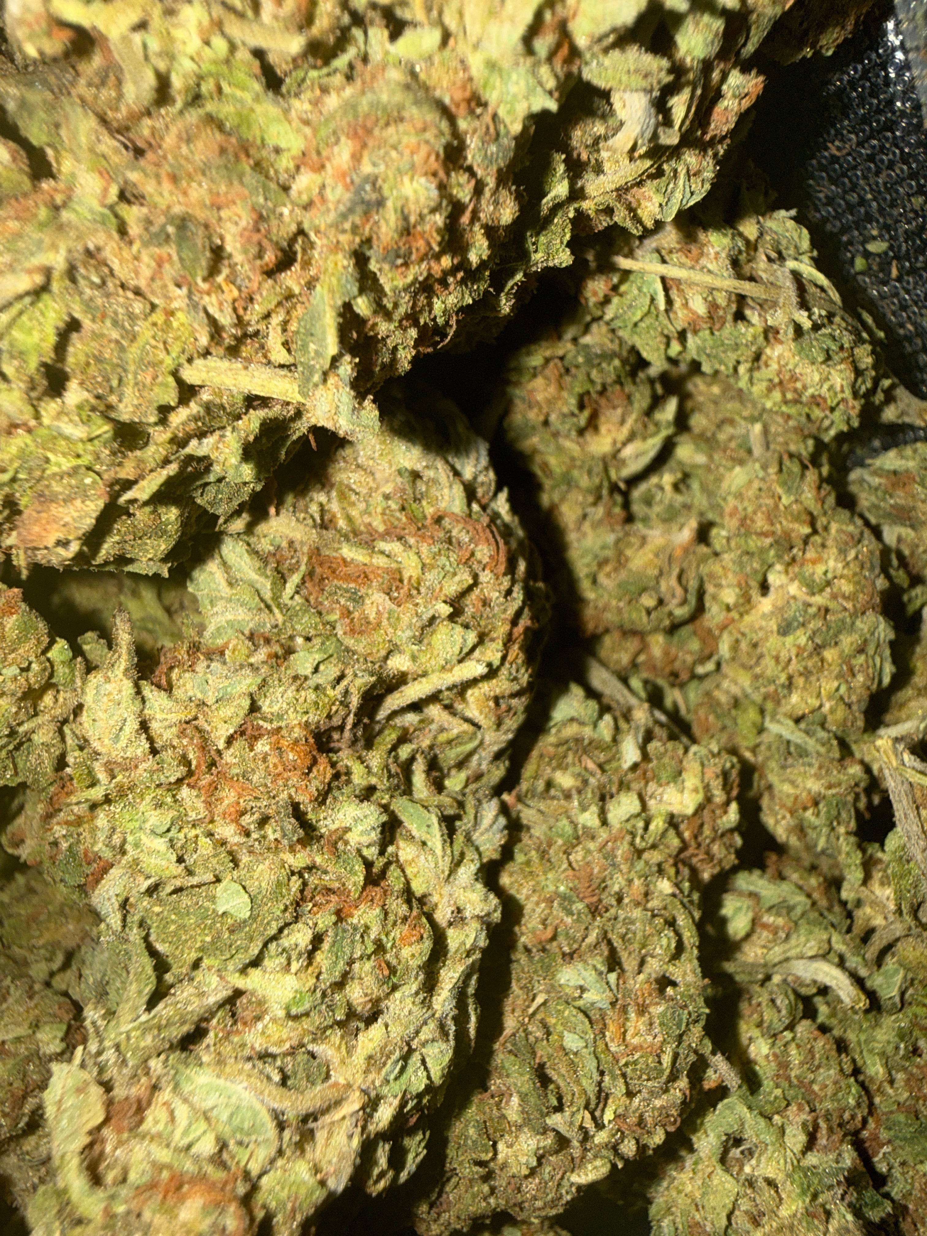 Pineapple jack AA (S)