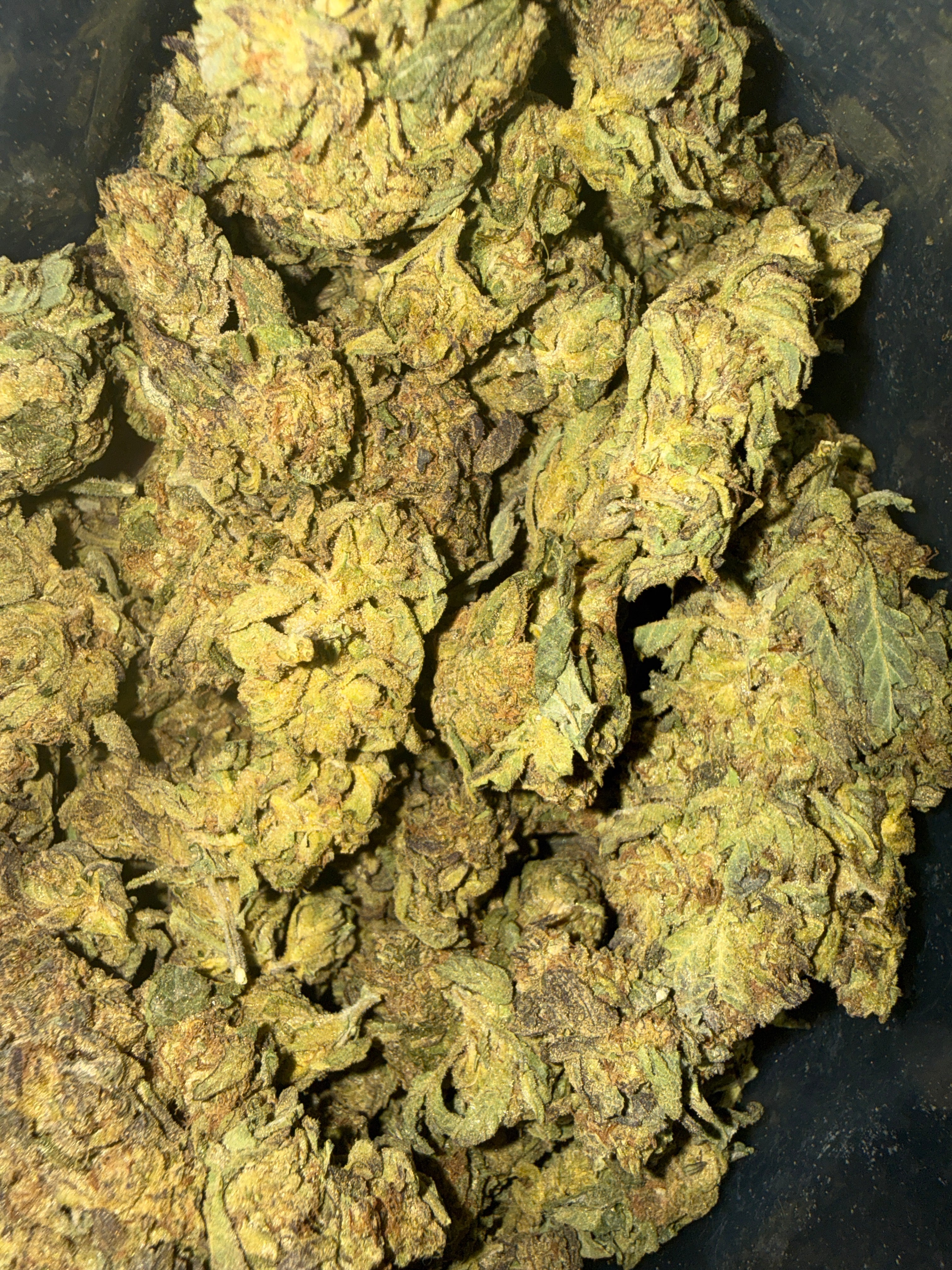 Original Purple Kush AA+ (I)