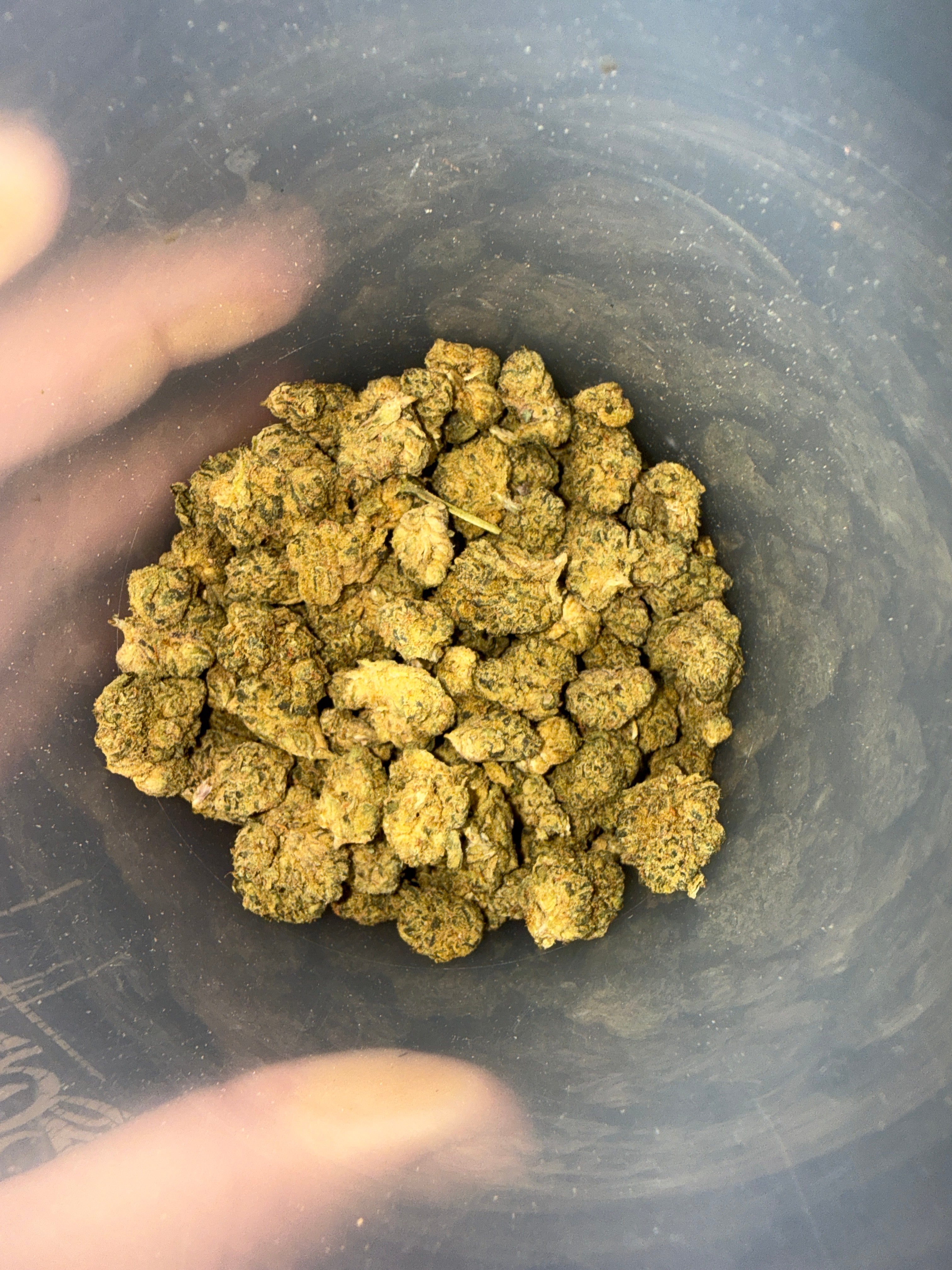 Hyper fuel smalls AA+ (H)￼