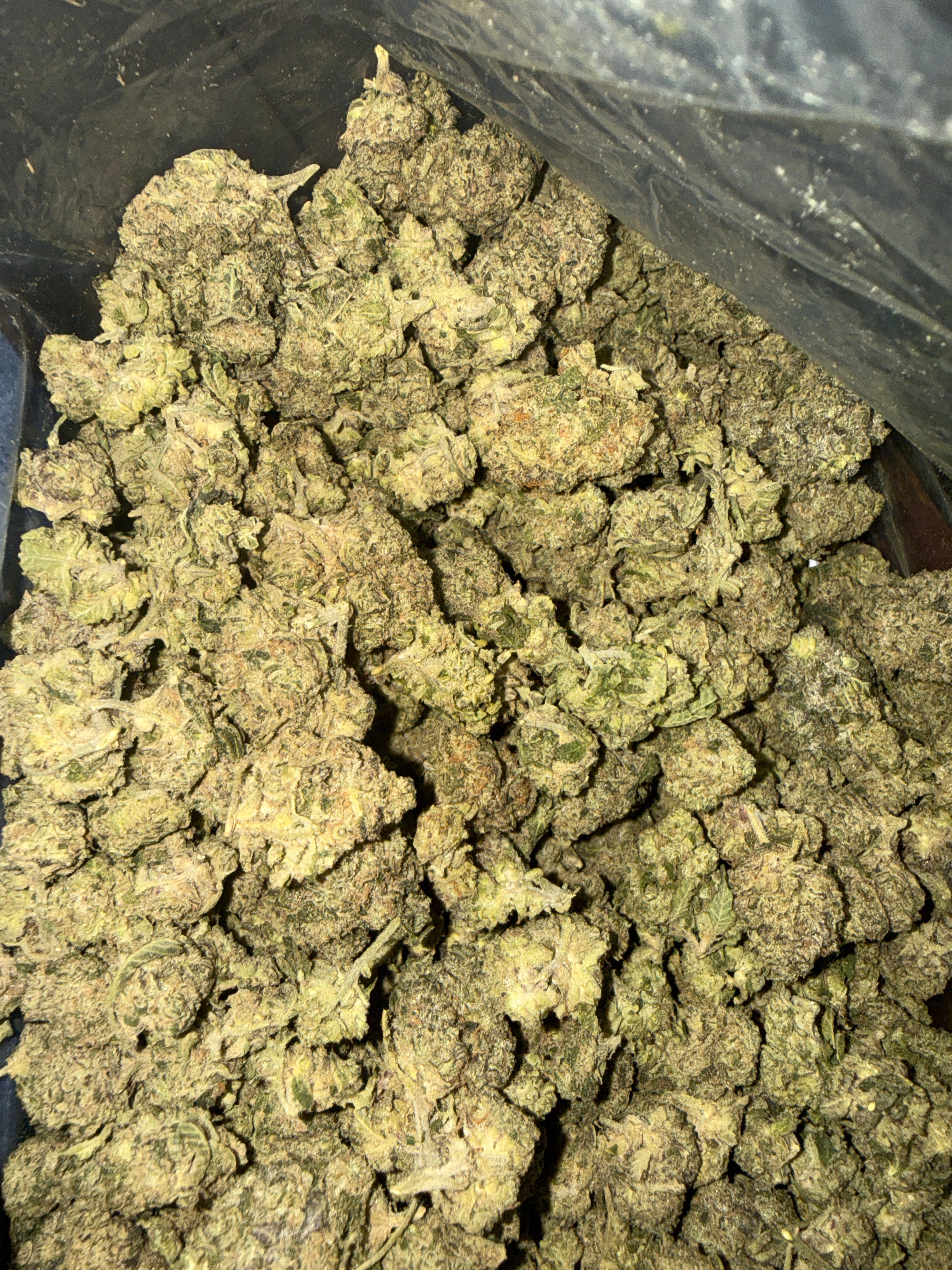 G13 haze (S)