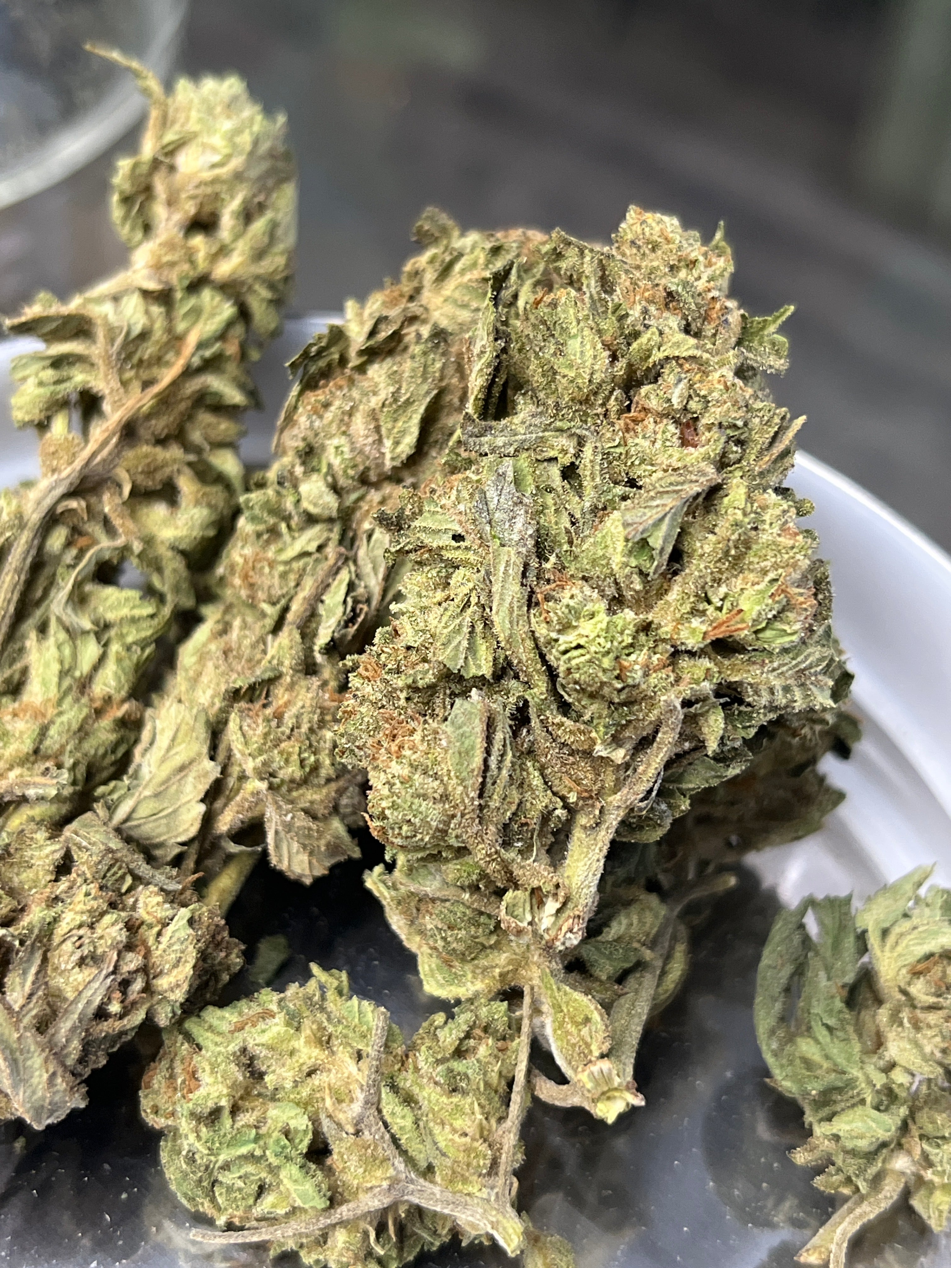 Purple Kush AA (I)
