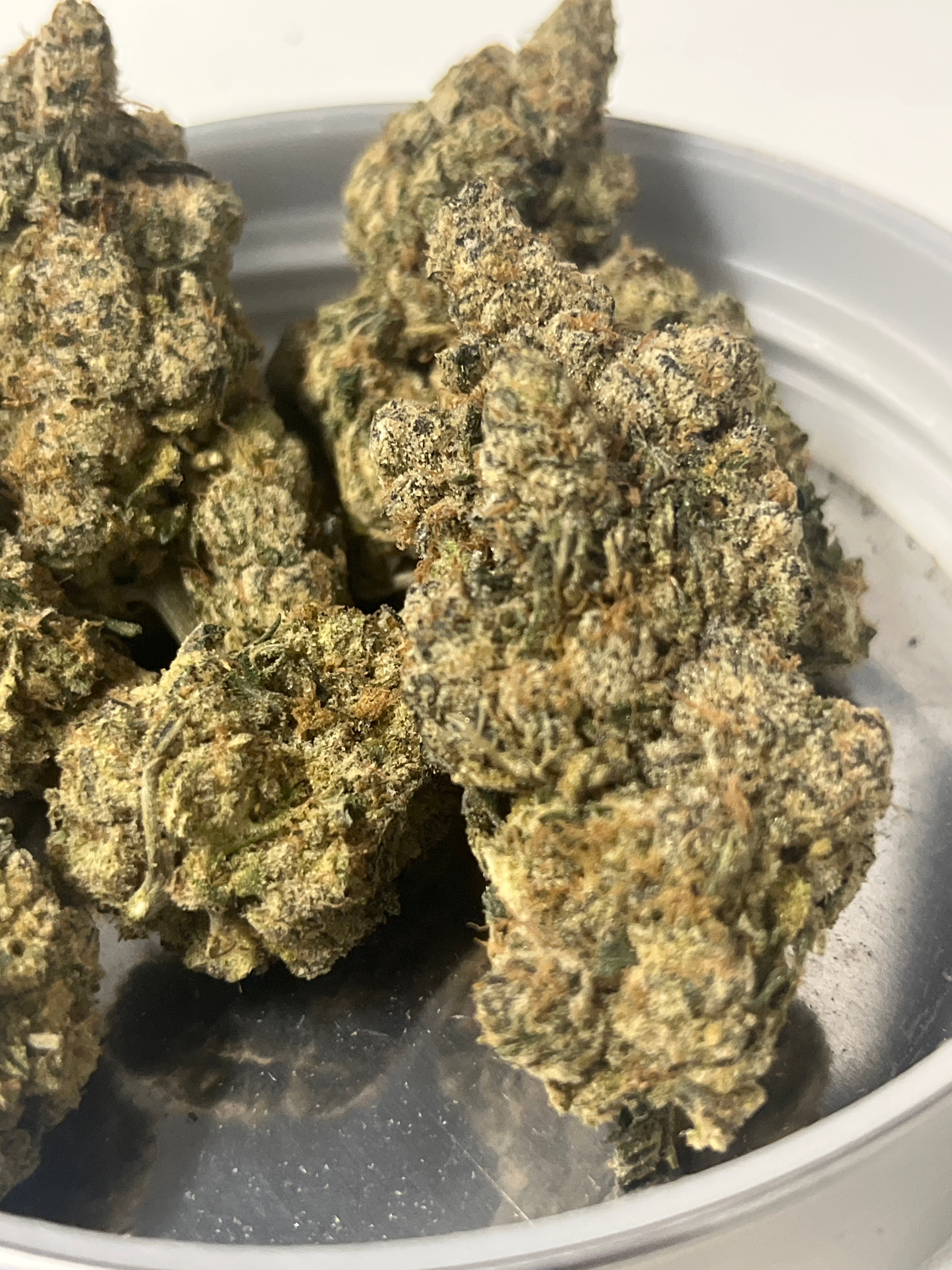 Girl Scout Cookies (H) AA