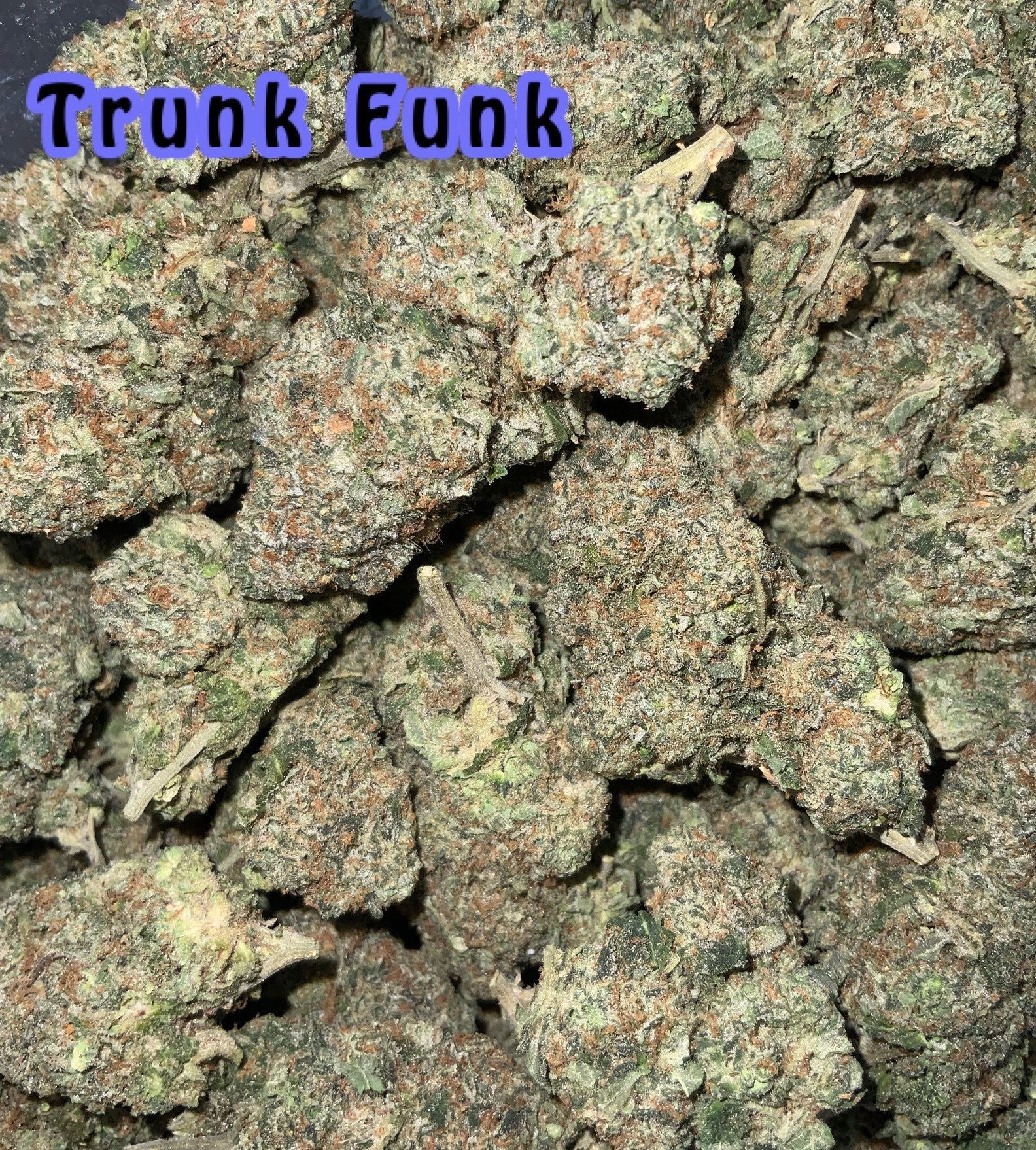 Trunk Funk (H) (100oz)