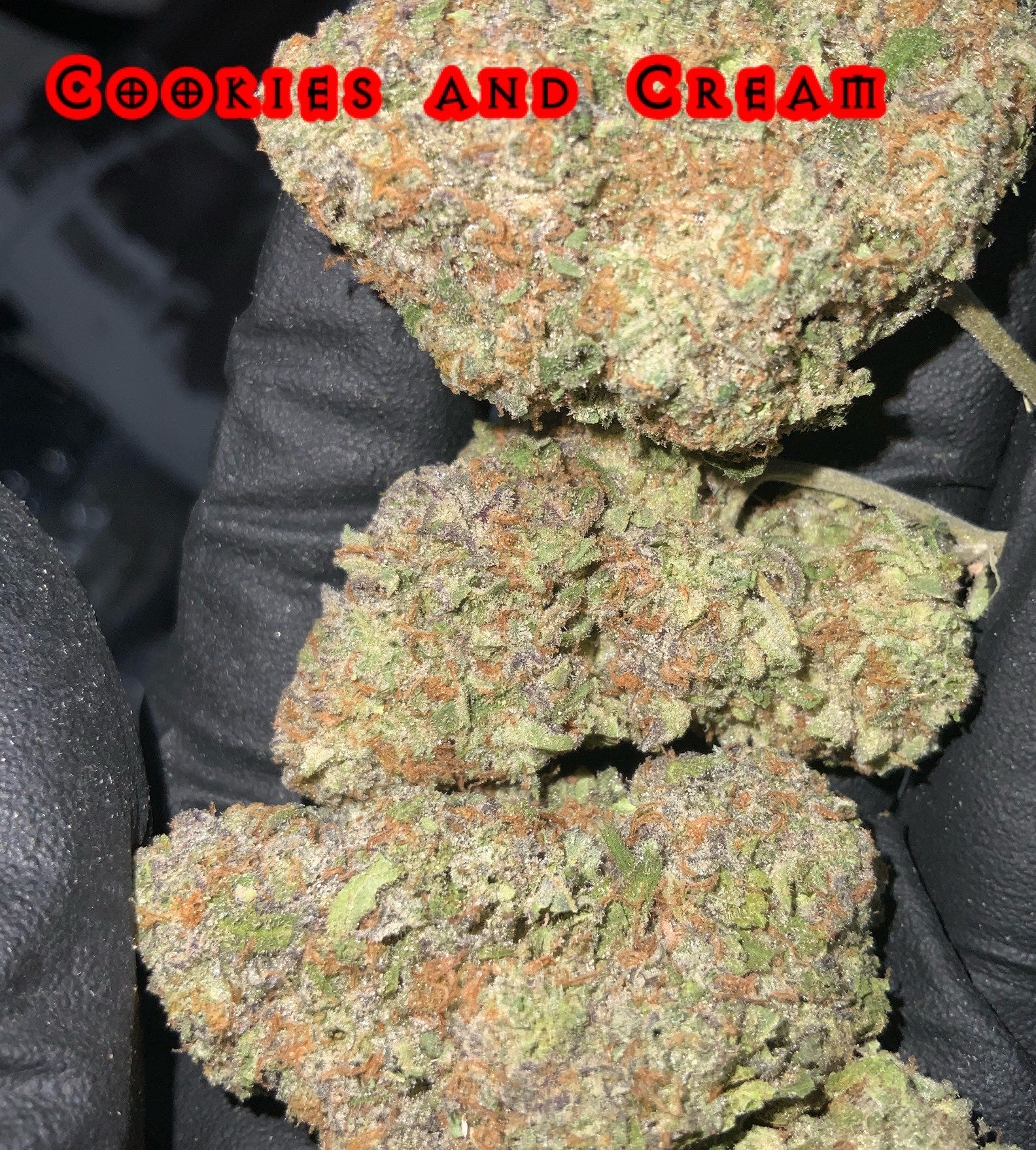 Cookies and Cream (H) (120/oz)