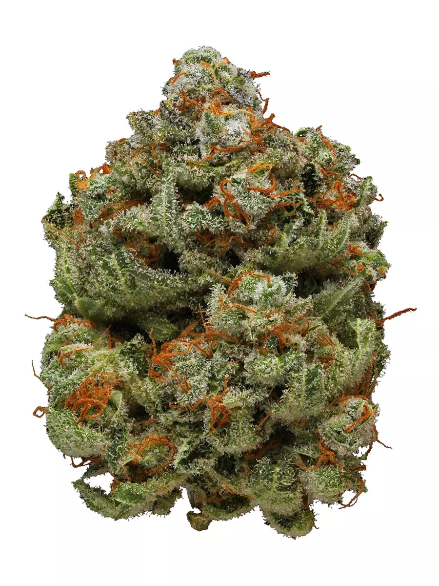 Kush Mints