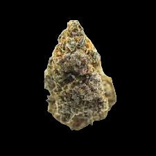 Bananaconda (H) AAAA+